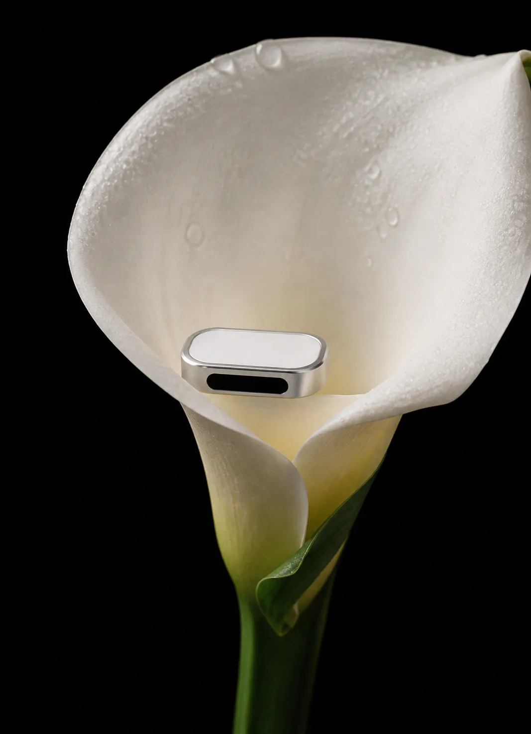 Ivory Presence Key resting inside a white calla lily