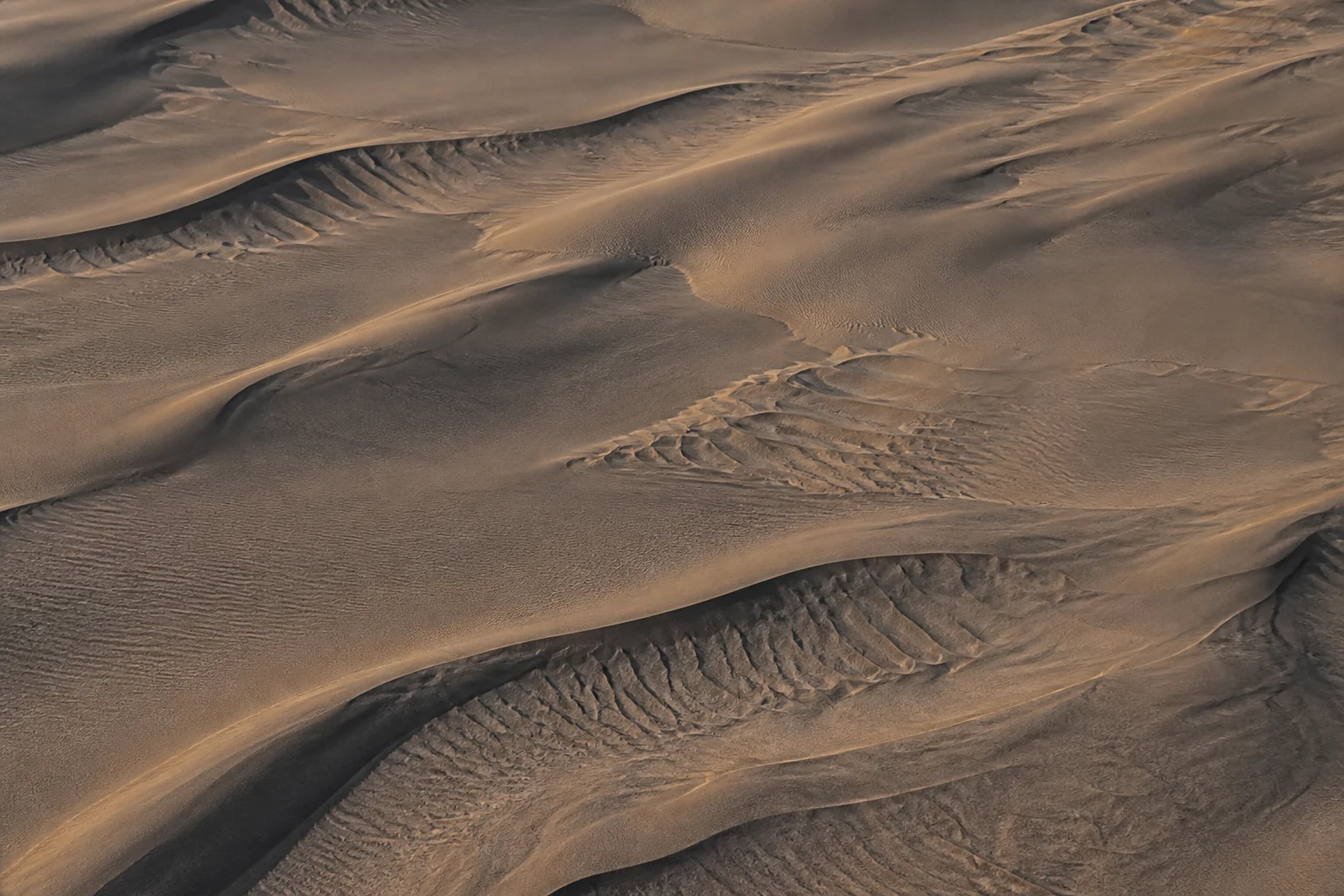 Wind-shaped dune ridges carrying a unique physical signature